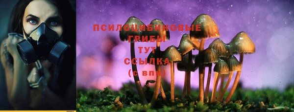 гашик Алексеевка
