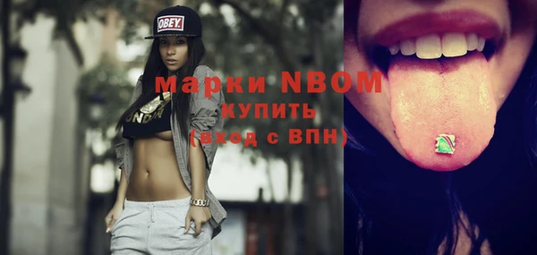 гашик Алексеевка