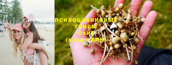 гашик Алексеевка