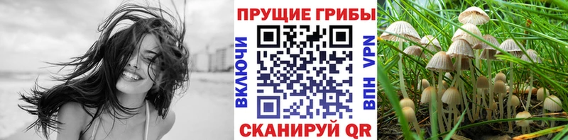 Псилоцибиновые грибы GOLDEN TEACHER Заполярный